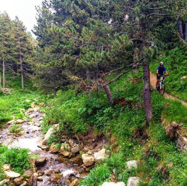 La Pradella Bolquere Pyrenees 2000 Leilighet Eksteriør bilde