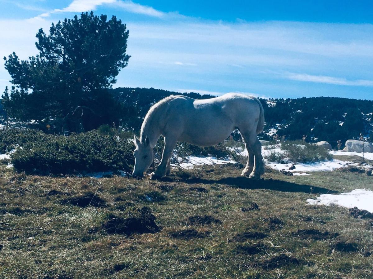 La Pradella Bolquere Pyrenees 2000 Leilighet Eksteriør bilde