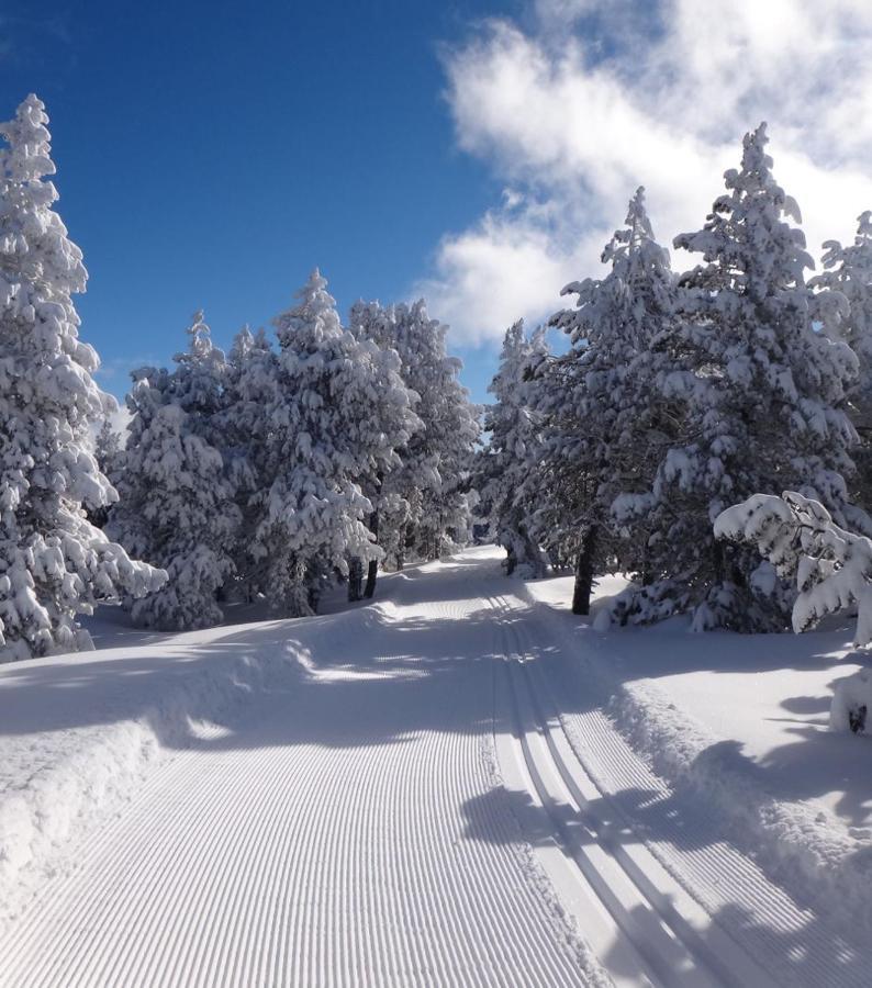 La Pradella Bolquere Pyrenees 2000 Leilighet Eksteriør bilde